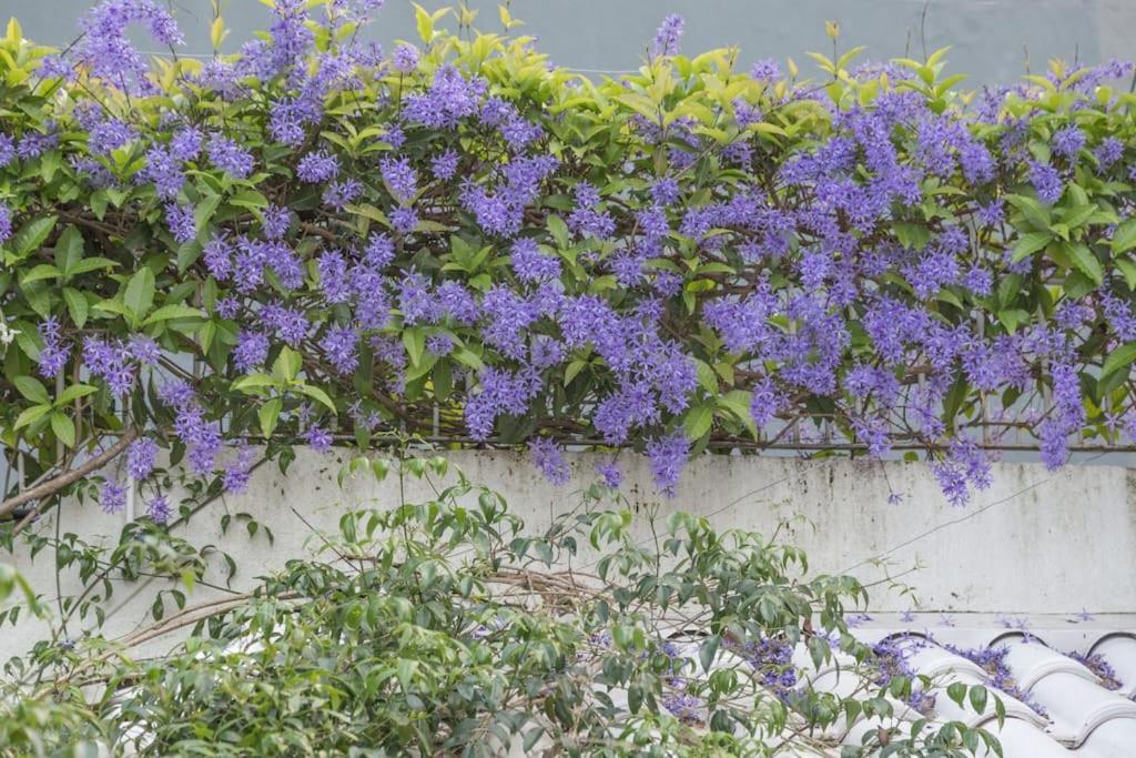 Morada Das Flores Porto Alegre Exteriér fotografie
