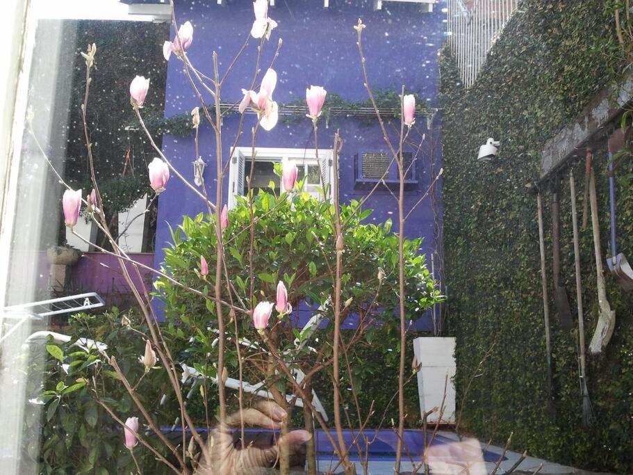 Morada Das Flores Porto Alegre Exteriér fotografie
